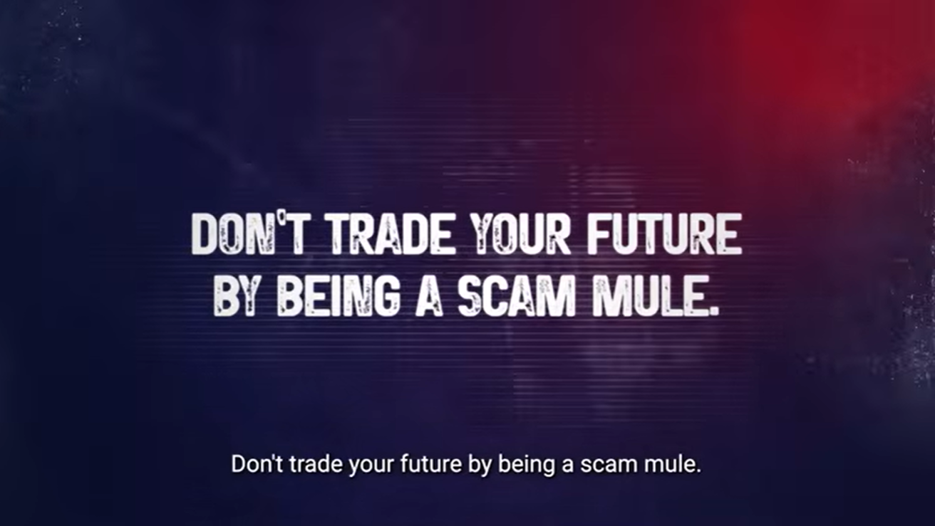 Scam mul vid